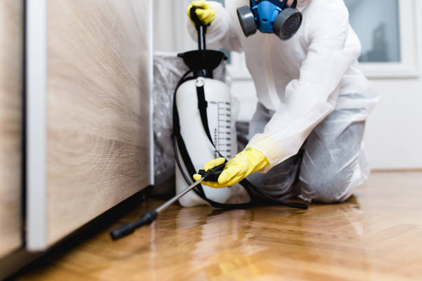Best Commercial Pest Control Services  in Mastic Beach, NY