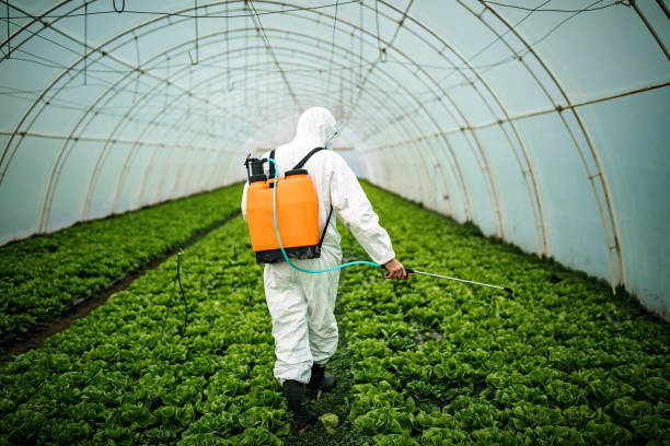 Best Pest Removal Services  in Mastic Beach, NY