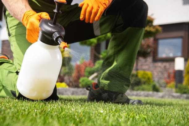 Pest Control for Restaurants in Mastic Beach, NY