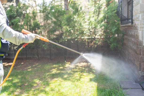 Trusted Mastic Beach, NY Pest Control Experts