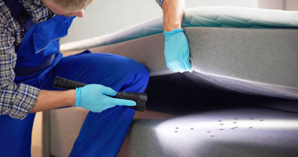 Best Affordable Pest Control Services  in Mastic Beach, NY